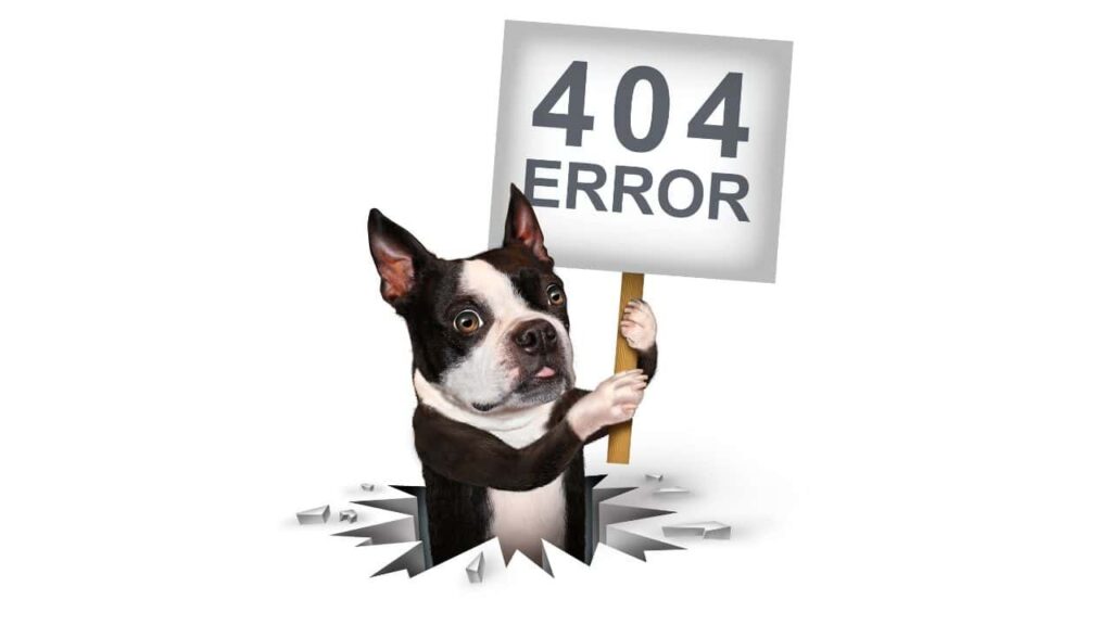 404 error dog